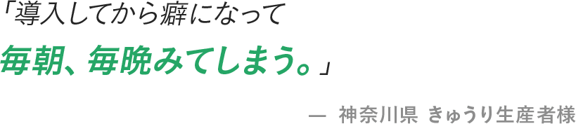 「導入してから癖になって毎朝、毎晩みてしまう。」- 神奈川県 きゅうり生産者様