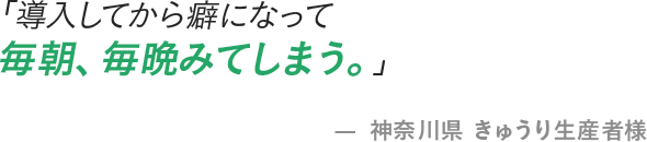 「導入してから癖になって毎朝、毎晩みてしまう。」- 神奈川県 きゅうり生産者様