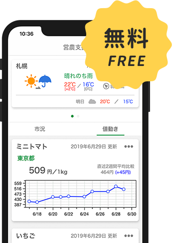 無料 FREE